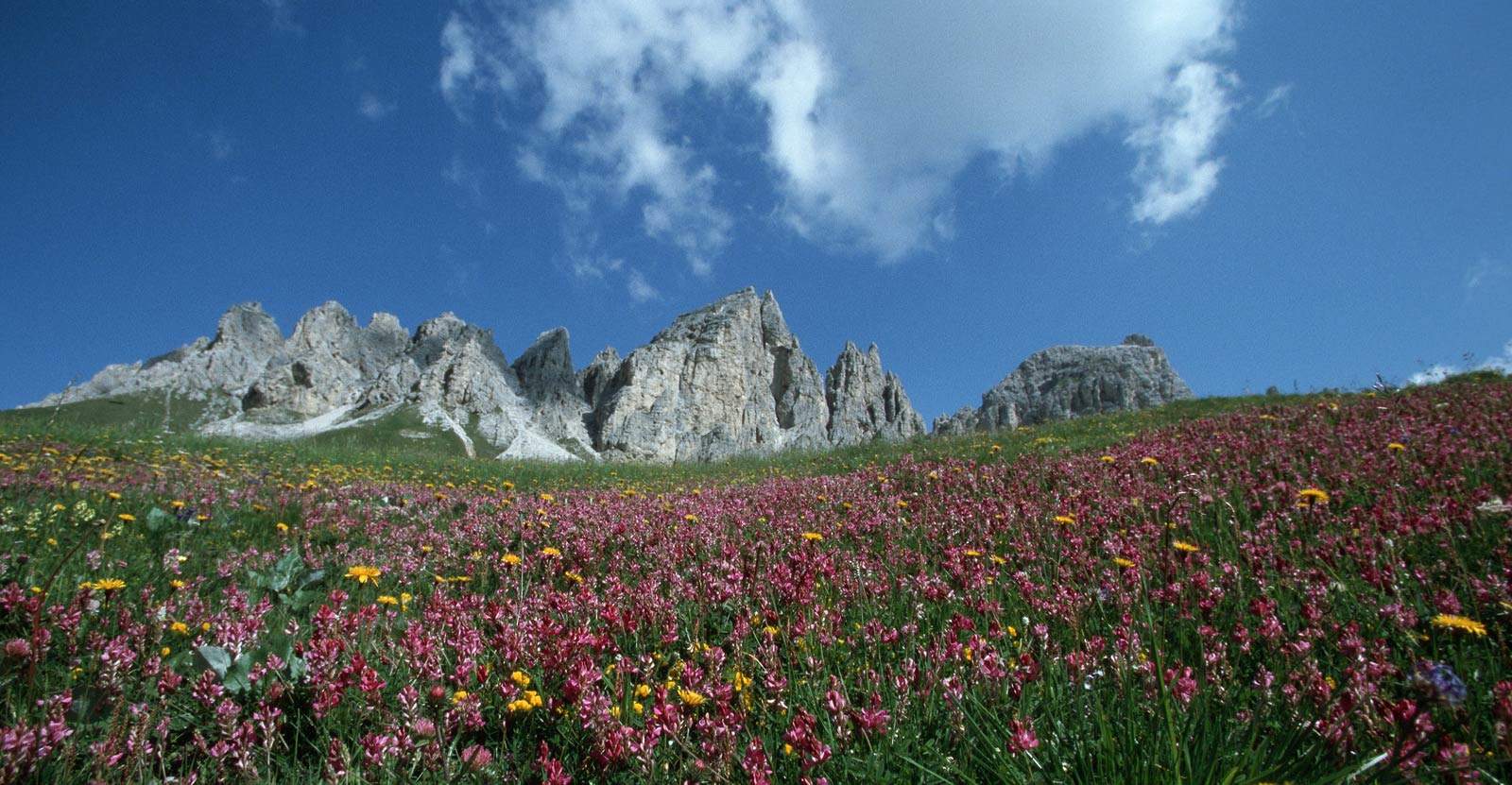 a-week-in-the-dolomites-hotel-la-villa